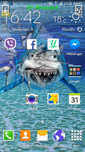 Download Angry Shark Pet Cracks Screen